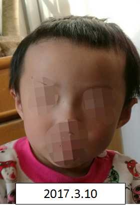 日本美女操逼在线视频